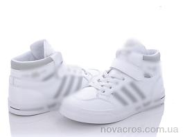 Y126(7682) white-grey
