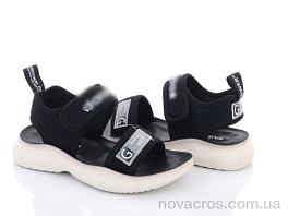 DL46(B16) black-white