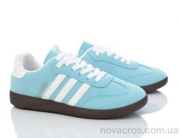 HD70 (172-50) blue