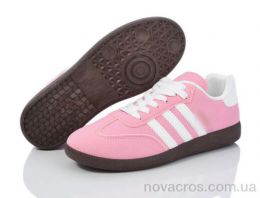 HD70 (172-50) fuchsia