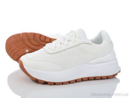 177-29 white
